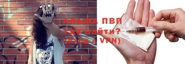 трава Новозыбков