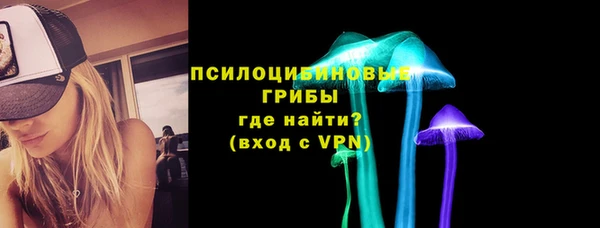 трава Новозыбков
