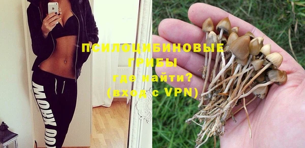 ALPHA-PVP Нязепетровск