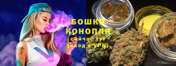 прущие крисы Няндома