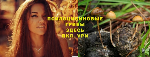 трава Новозыбков