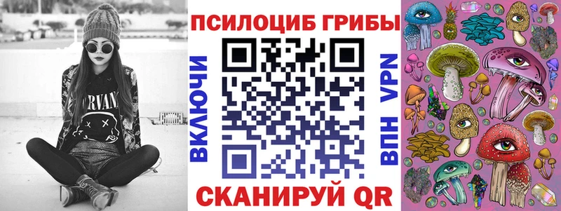 купить   Сарапул  Псилоцибиновые грибы MAGIC MUSHROOMS 