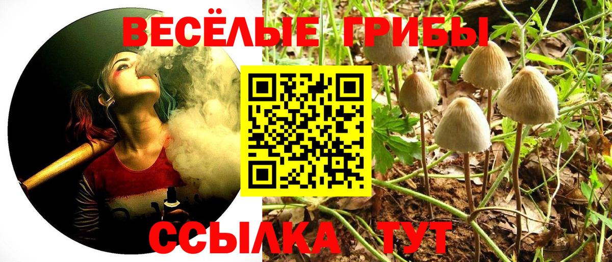 Псилоцибиновые грибы Psilocybine cubensis Сарапул