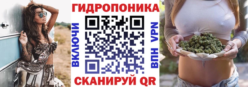 darknet телеграм Сарапул Бошки Шишки THC 21%