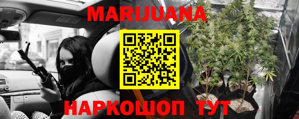 Марихуана Amnesia  Конопля индика  Сарапул  Марихуана тримм  Бошки марихуана план  Вход с VPN 